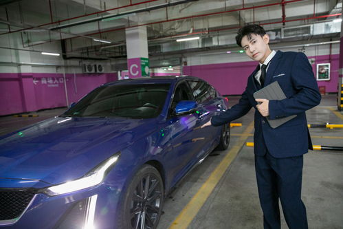 商務車豪車汽車銷售汽車顧問車險人物攝影圖 攝影