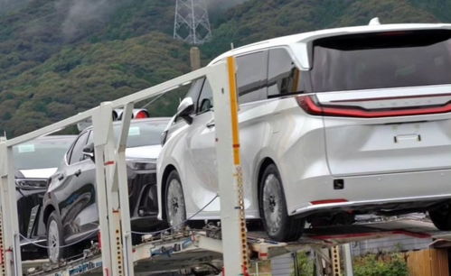 國產(chǎn)車用產(chǎn)品力干不過的車型 地表最貴面包車?yán)卓怂_斯lm售價(jià)公布